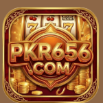 PKR656 Com