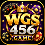 WSG456 Game