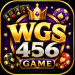 WSG456 Game